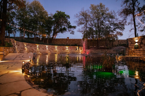 Koi Lake at Night