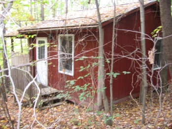 Thunder Ridge Cabins B&B - Otter Lodge - 