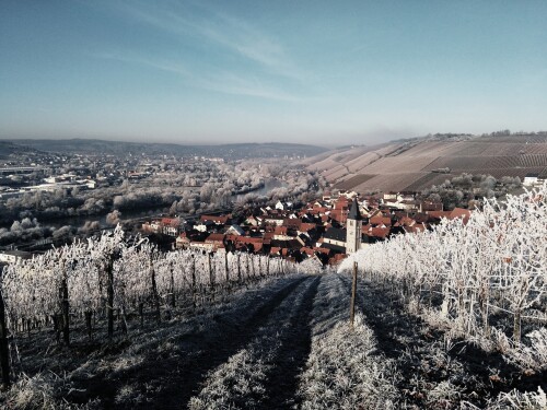 Weinberg hinter dem Hotel im Winter