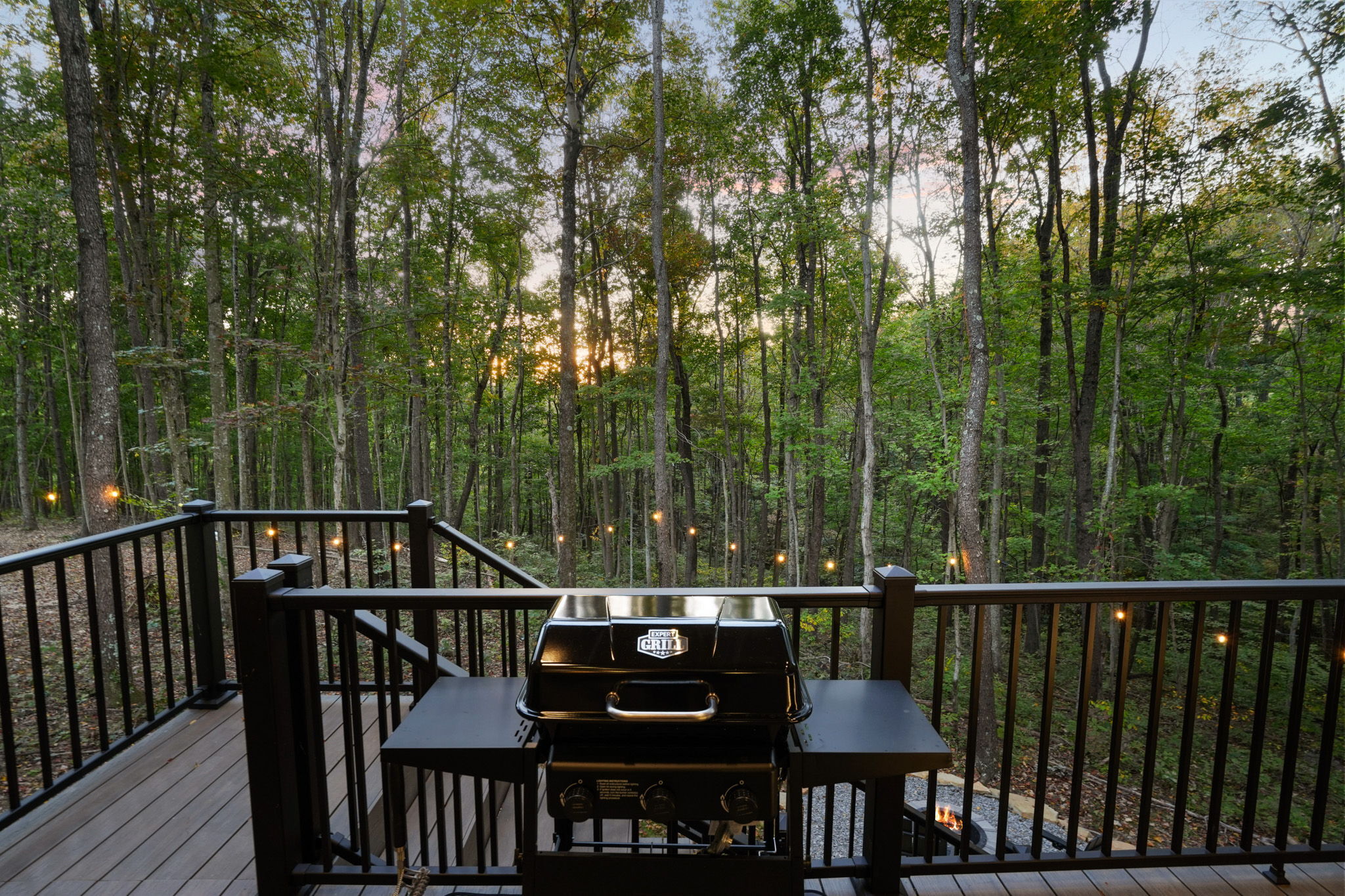 Ironwood | Photo 30