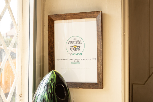 Certificate of Excellence