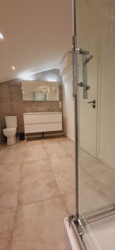 salle de bain avec douche