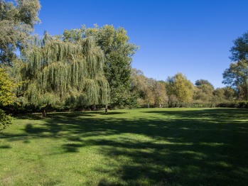1/4 acre Paddock.. perfect for a book or work ... full wi/fi Coverage 