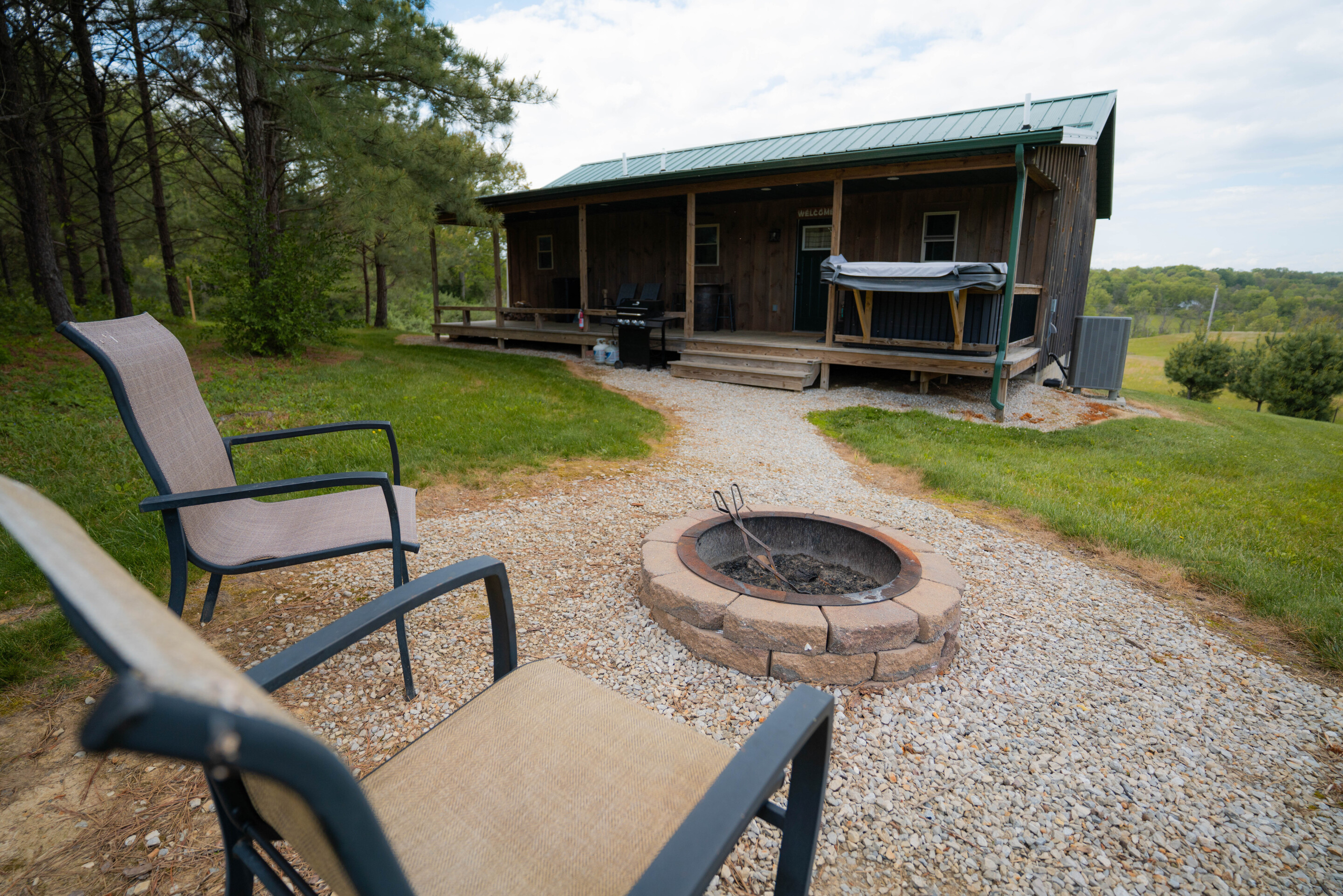 Golden Pine | Photo 22