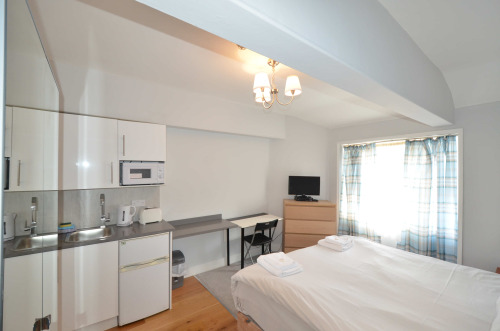 Twin Studio with Kitchenette and Shower & Toilet 