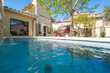 Le Gingko Biloba et la Maison Vus du Bassin