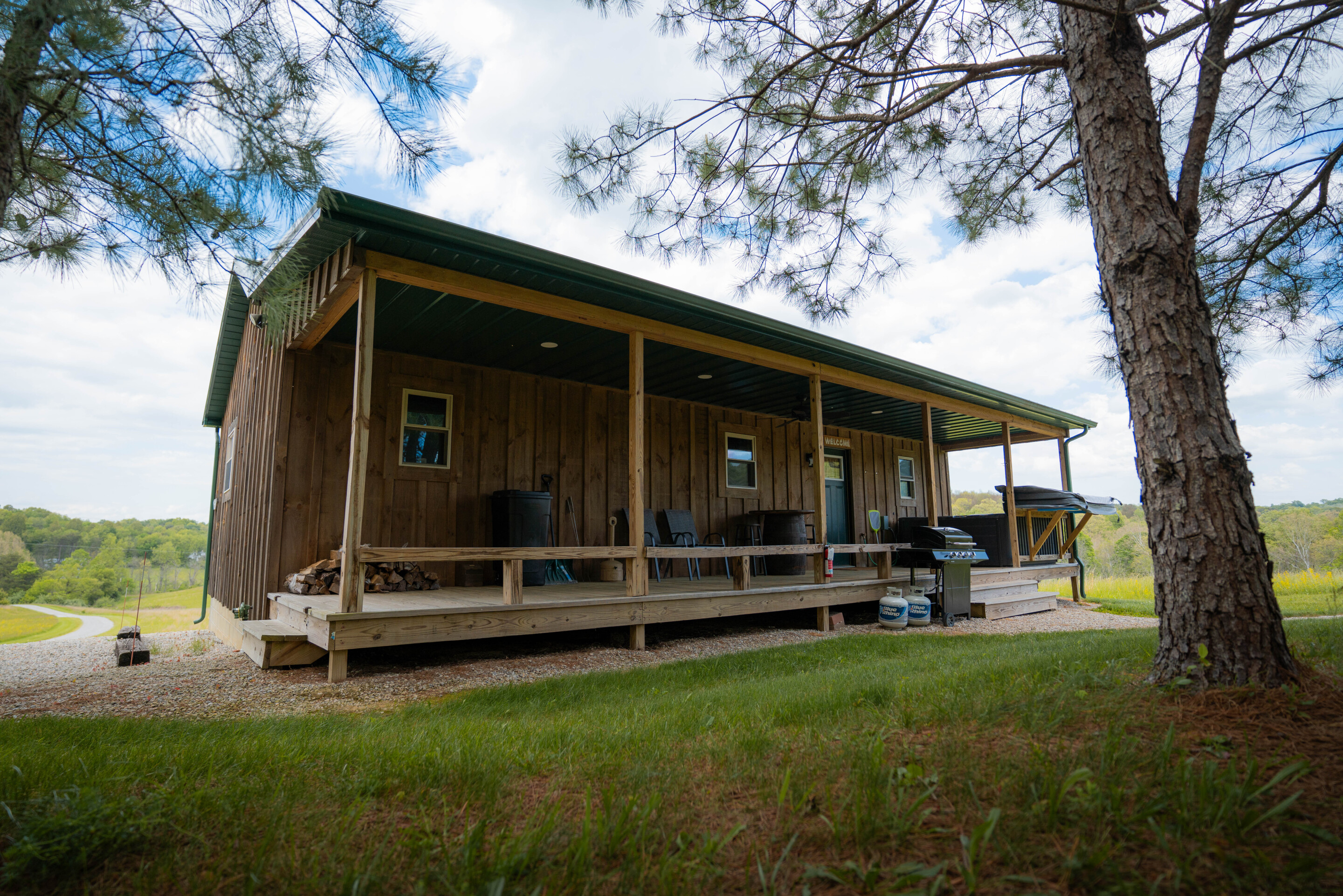 Golden Pine | Photo 26