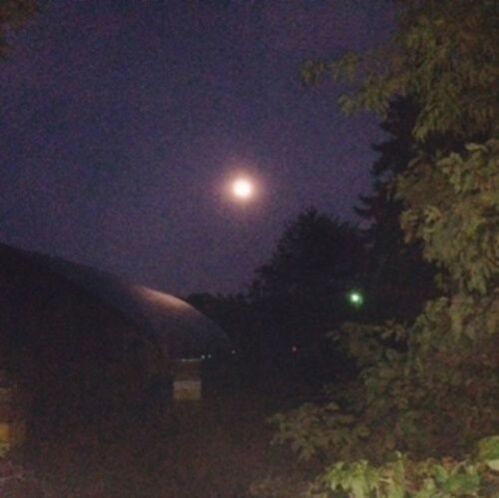 Full Moon over the farm