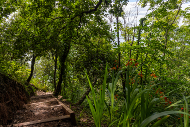 Along the private woodland path to the beach