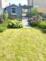 Back Garden