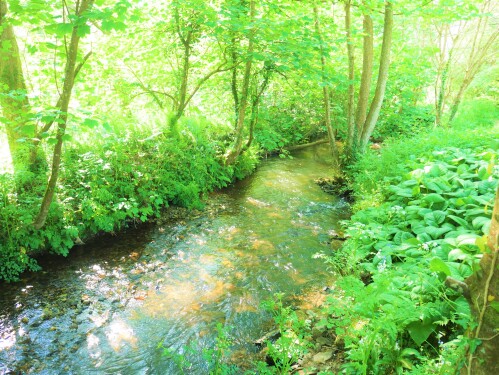 Porth River at Tregoose