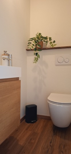 Toilette indépendante