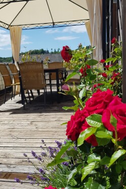 Südterrasse über den Dächern von Arnsberg im App. Deluxe.