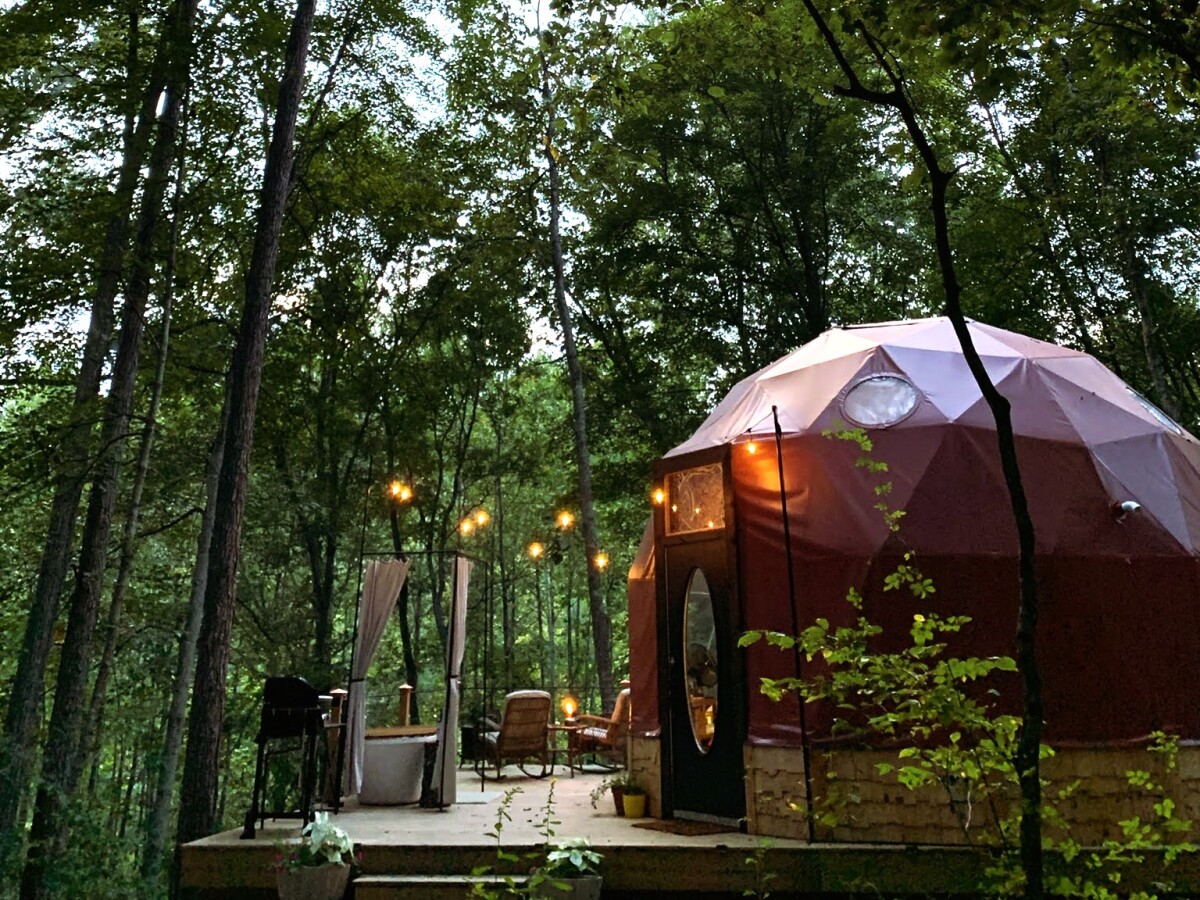 31797 The Cocoon