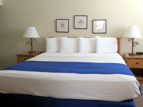 Suite-Basic-Private Bathroom-2