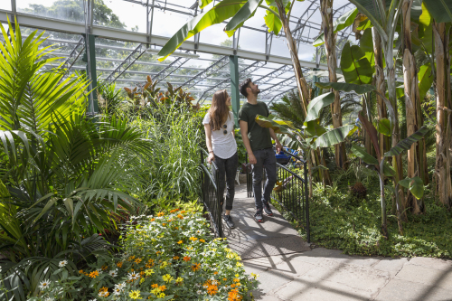 David Welch Winter Gardens with a diverse plants, wedding and event venue and cafe.  Credit with thanks to Visit Scotland & Kenny Lam