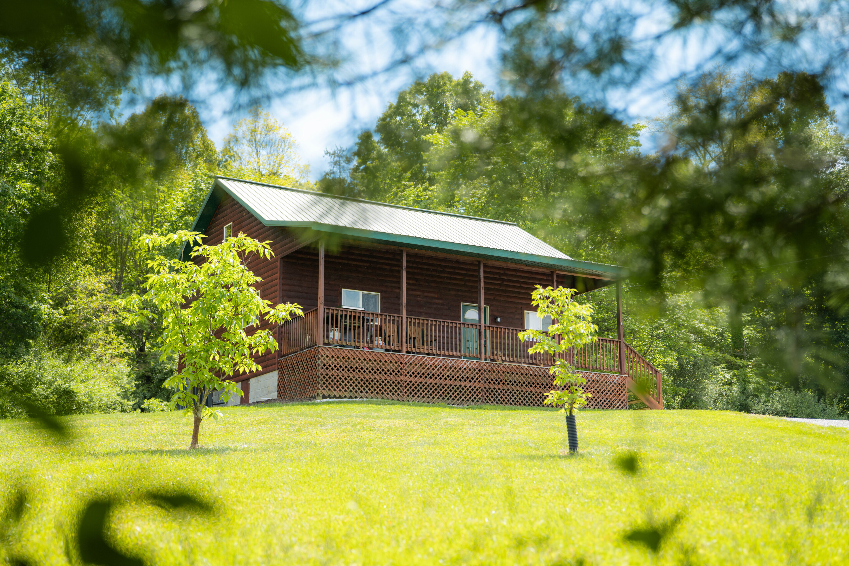 Golden Ridge | Photo 25