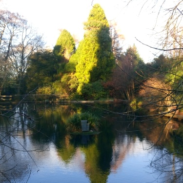 The Lake. Woodland garden