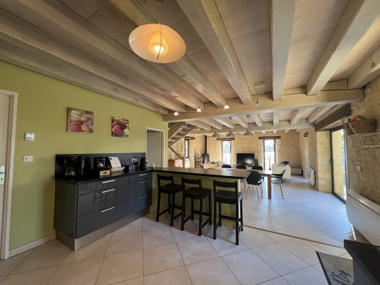 cuisine ouverte sur pièce de vie