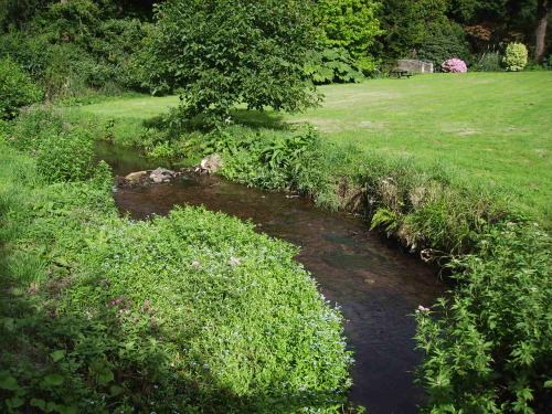 River Aller in garden, with lawn either side