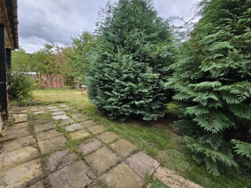 Outside garden looking towards Ben Wyvis