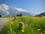 Paysage