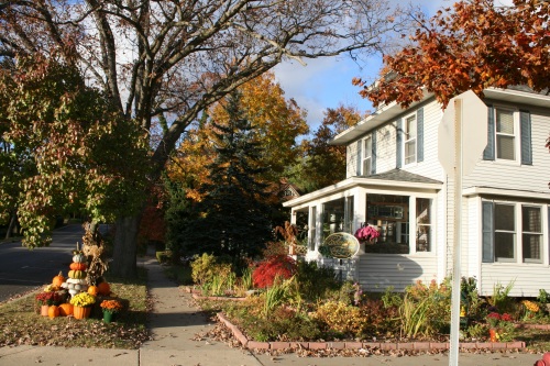 Serendipity house and gardens
