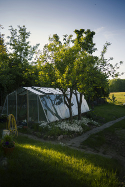 Garten und Gewächshaus