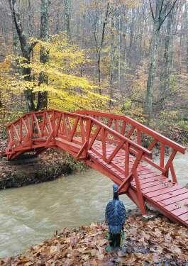 The footbridge leads to our private trail through the woods