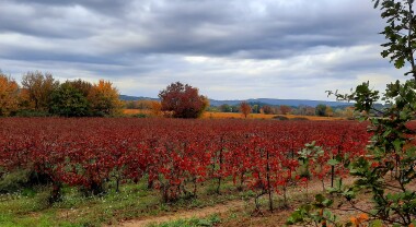 Provence en automne - Octobre