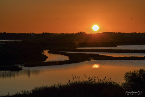 Coucher de soleil sur les marais de l'Ile d'Olonne