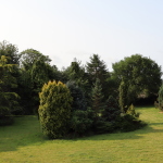 View of Back Garden