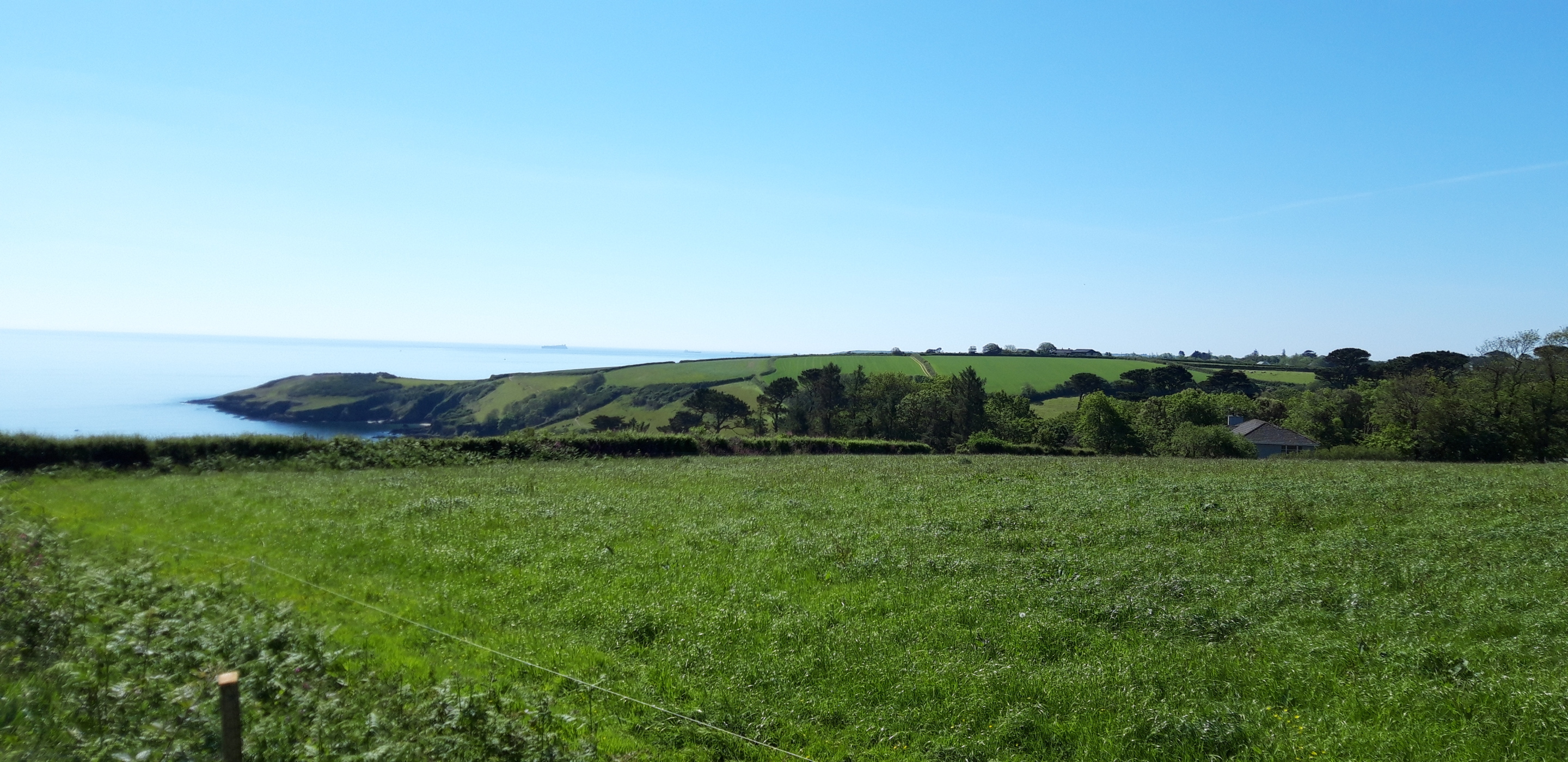 Rosemullion Head