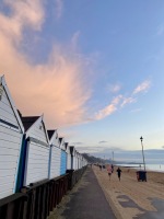 Beach vibe 