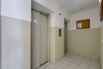 Entrance elevators