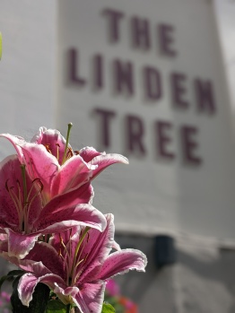 The Linden Tree Inn 