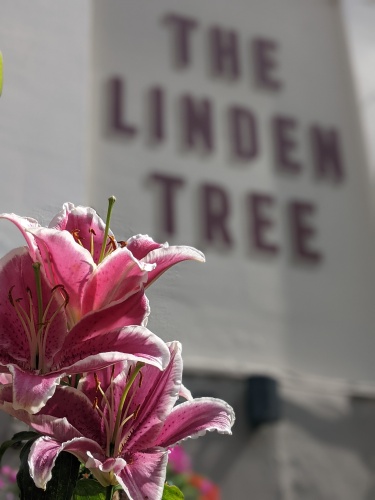 The Linden Tree - The Linden Tree Inn 