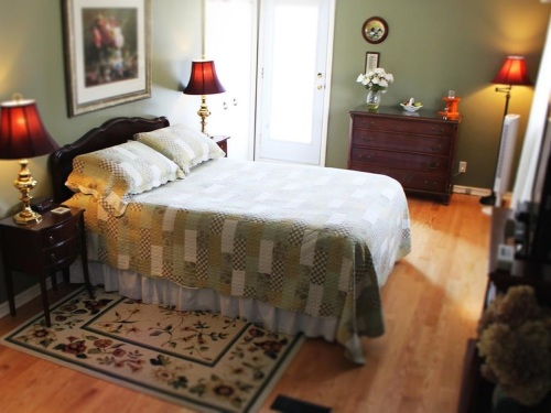 Forest view suite