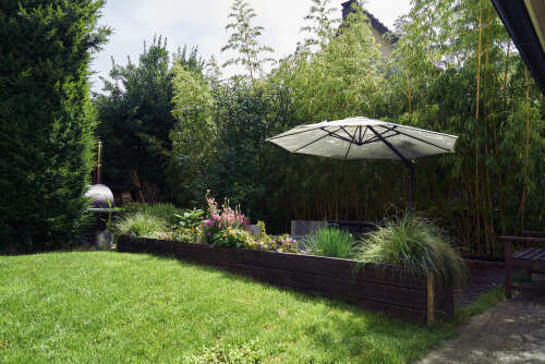 Jardin arborer 