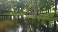L'étang et le parc