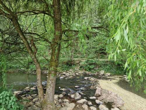 Nature et Loisirs au bord de la Mayenne