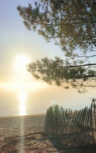 Plage des quinconces pour des moments paisibles