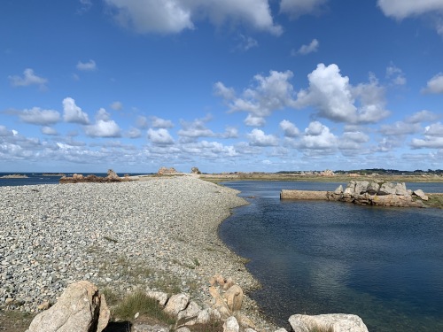 littoral