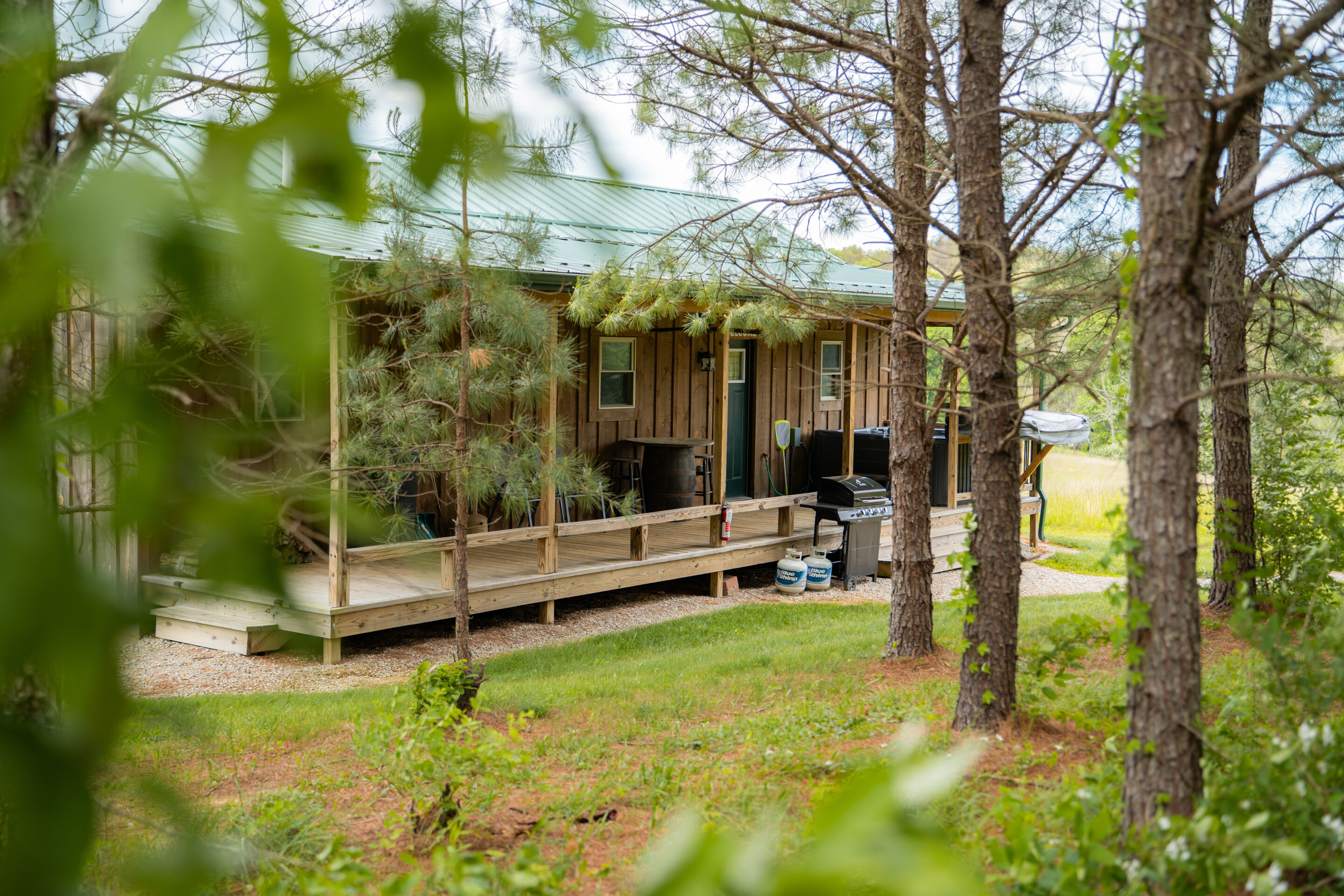 Golden Pine | Photo 25