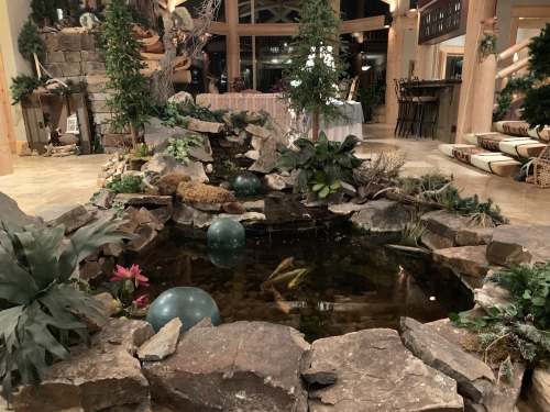Our Koi Pond Welcomes you!