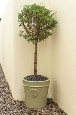 Walkway to Rooms 5 & 6