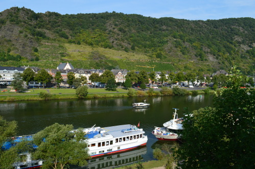 Studio-Dornfelder-Blick auf den Fluss