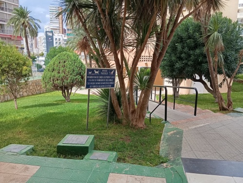 Zona común y acceso