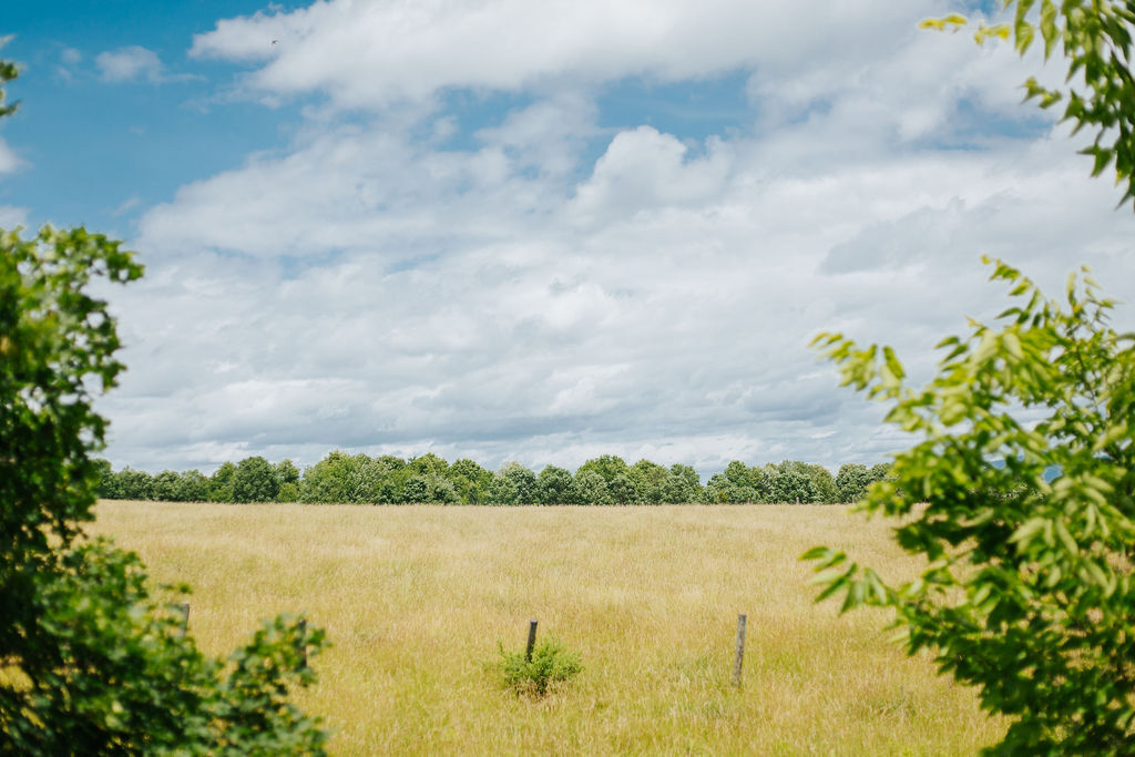 Long Meadow Midterm