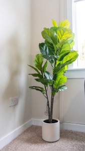 Caledonia Luxe Stays Short Lets & Serviced Accommodation